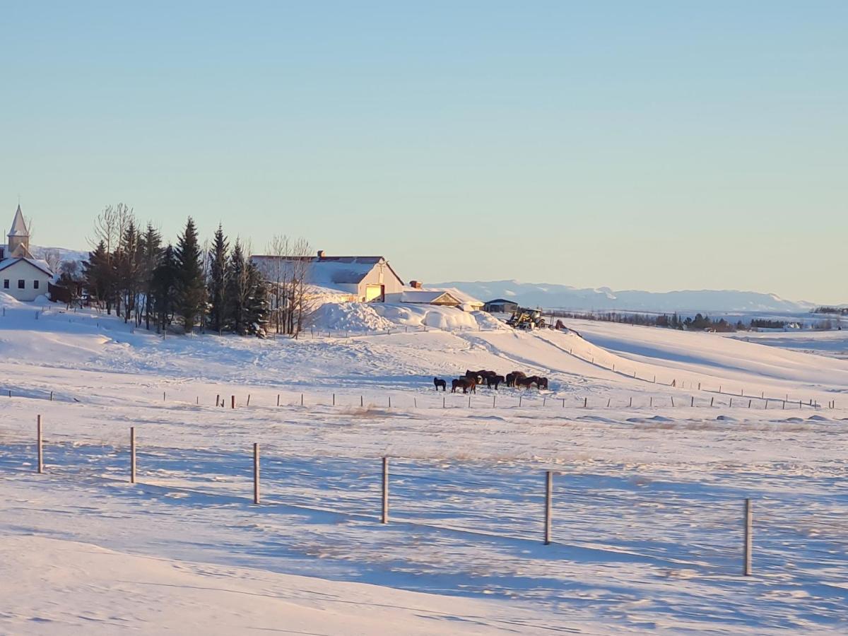 Mb Guesthouse Grimsnes og Grafningshreppur Bagian luar foto